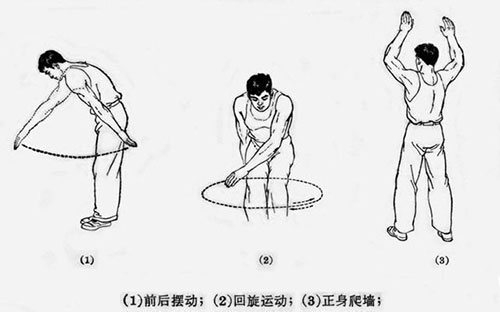 ����������Ӿ�� �����ײ�����ʲô�˶�